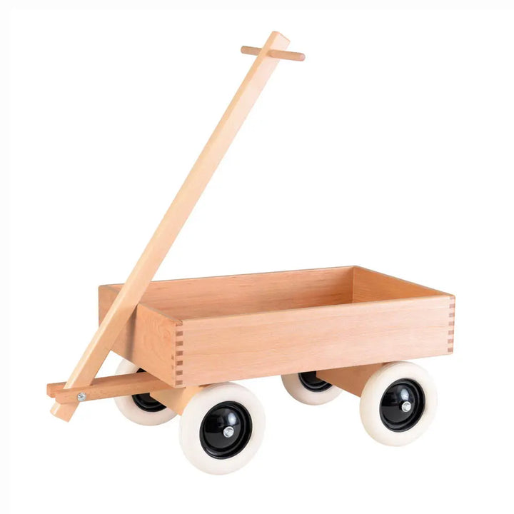 PULL ALONG TRUCK