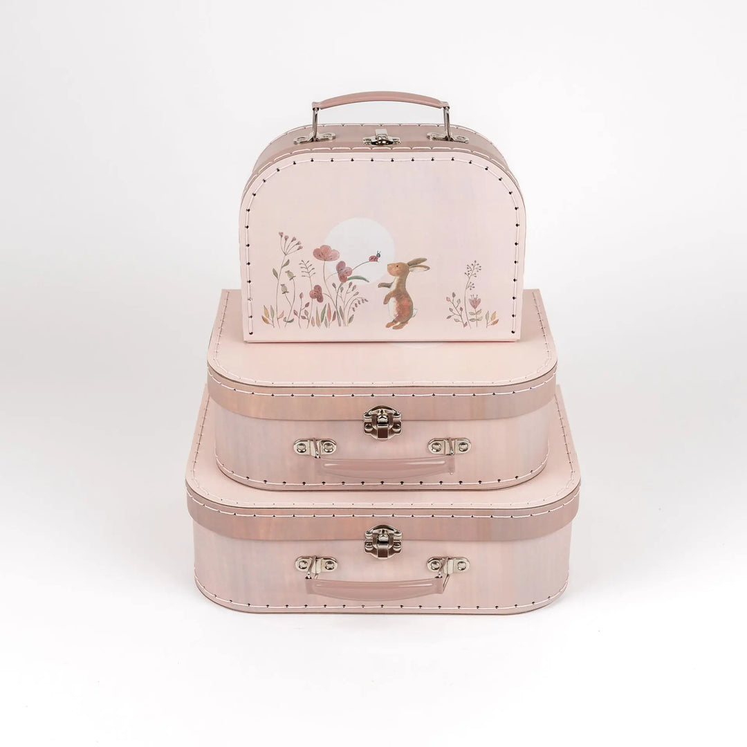 CASES SET OF 3 RABBIT