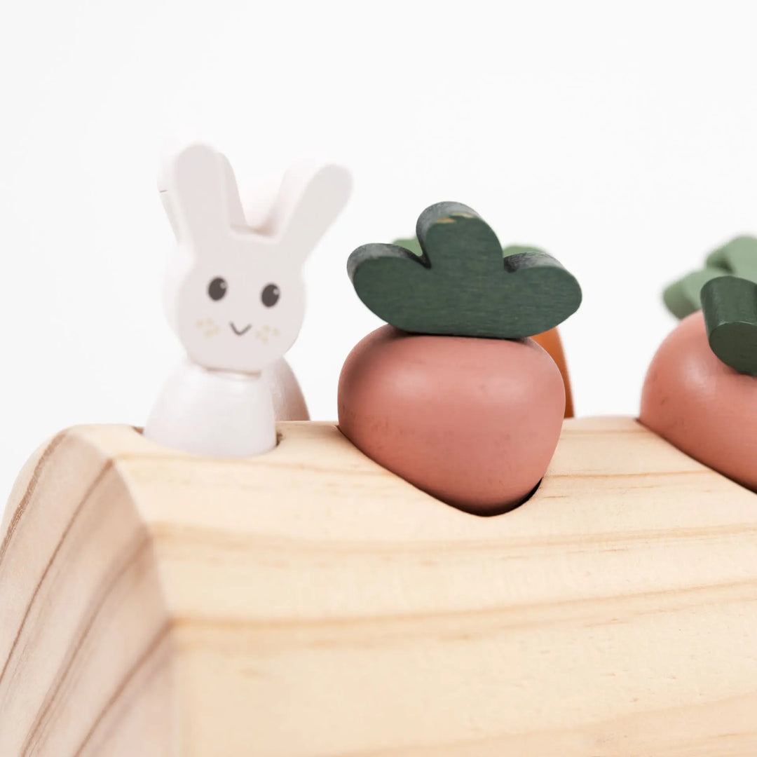 RABBIT AND VEGETABLES LOG