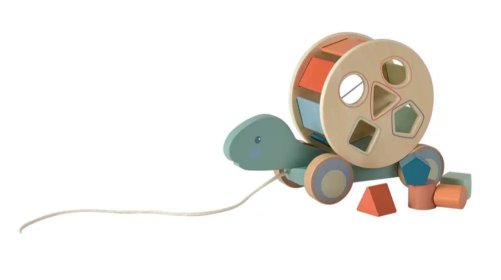 PULL-ALONG TURTLE
