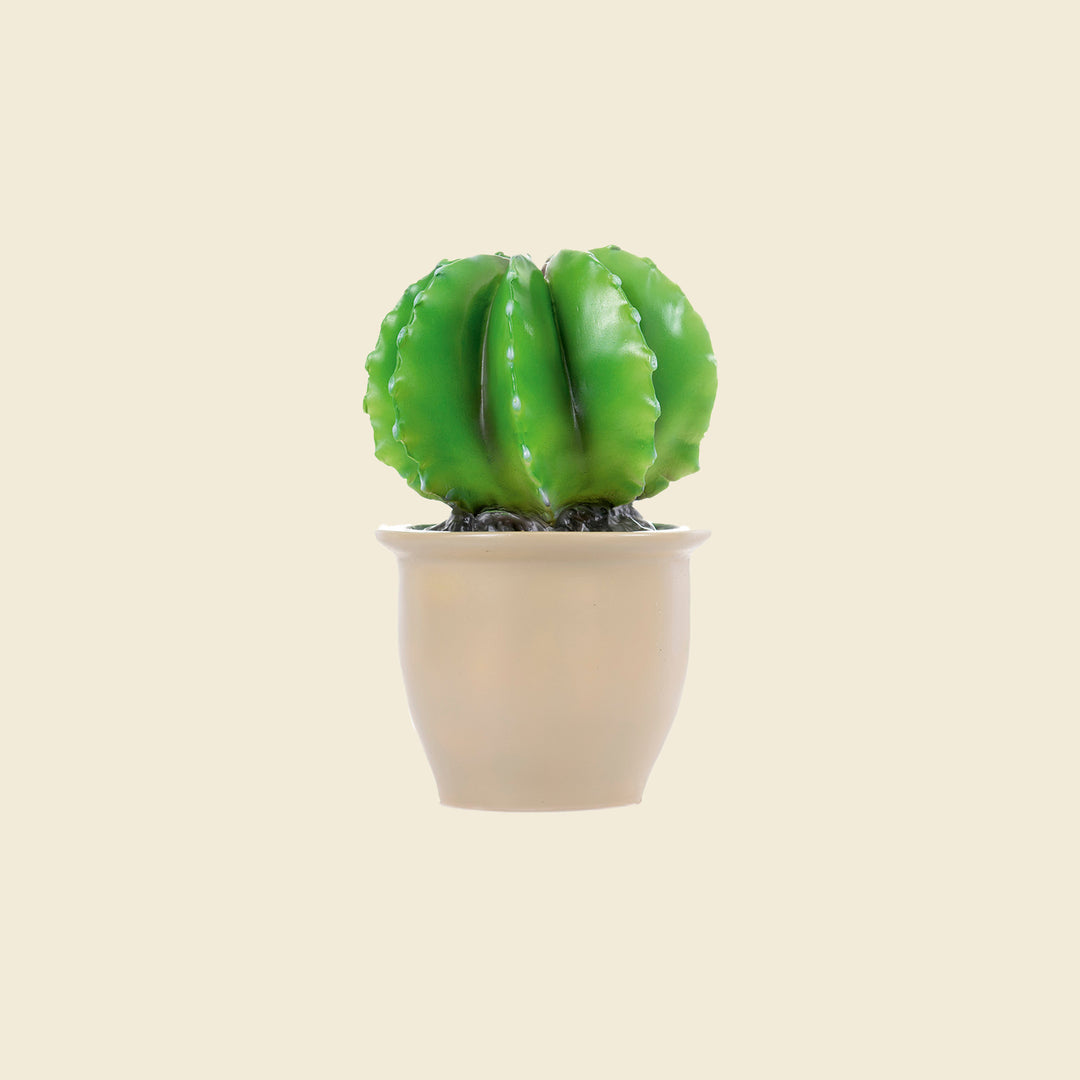 Cactus Night Lamp
