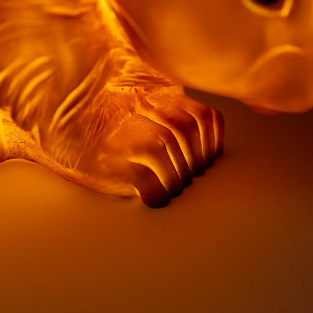 LAMP SQUIRREL