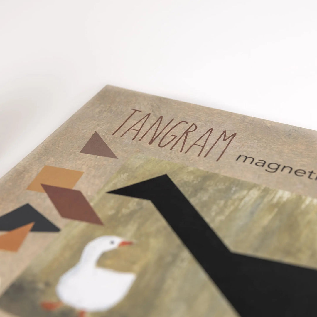 MAGNETIC TANGRAM