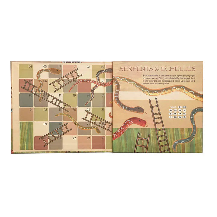MAGNETIC SNAKES AND LADDER