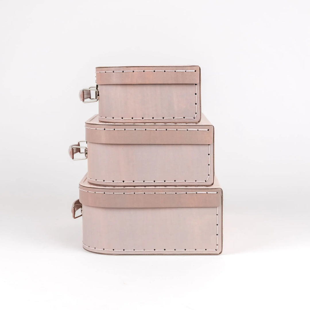 CASES SET OF 3 RABBIT