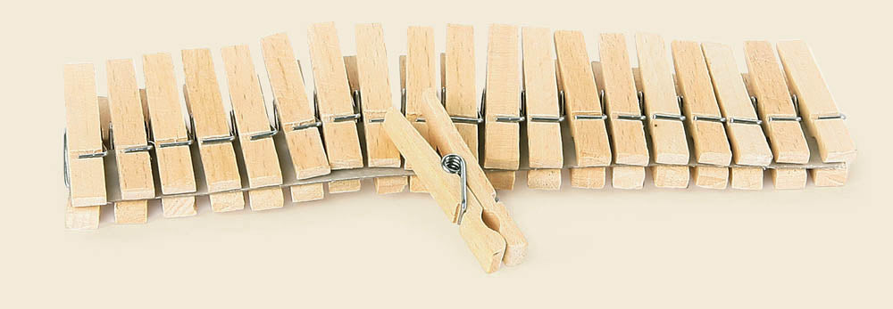 Small wooden pegs (100 pieces)