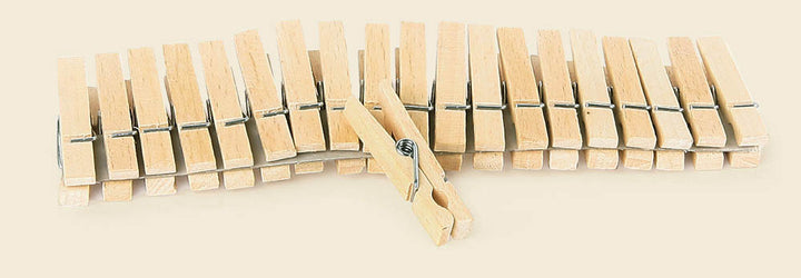 Small wooden pegs (100 pieces)