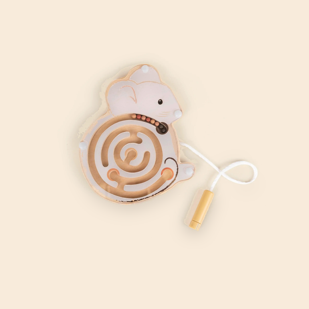 MINI MAGNETIC COLOR MAZE