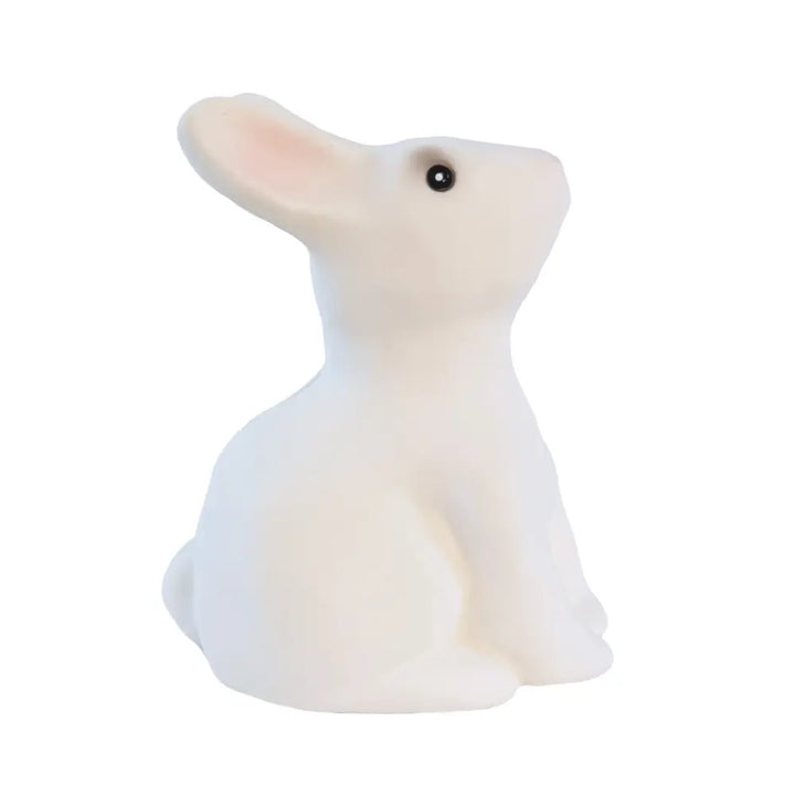 SAVING BANK RABBIT