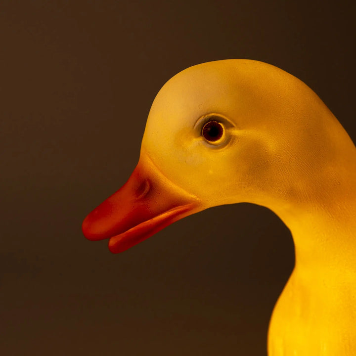 LAMP DUCK