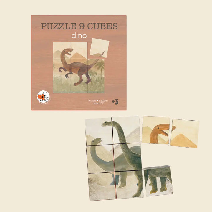 Puzzle Cubes Dinosaures (9 pièces)