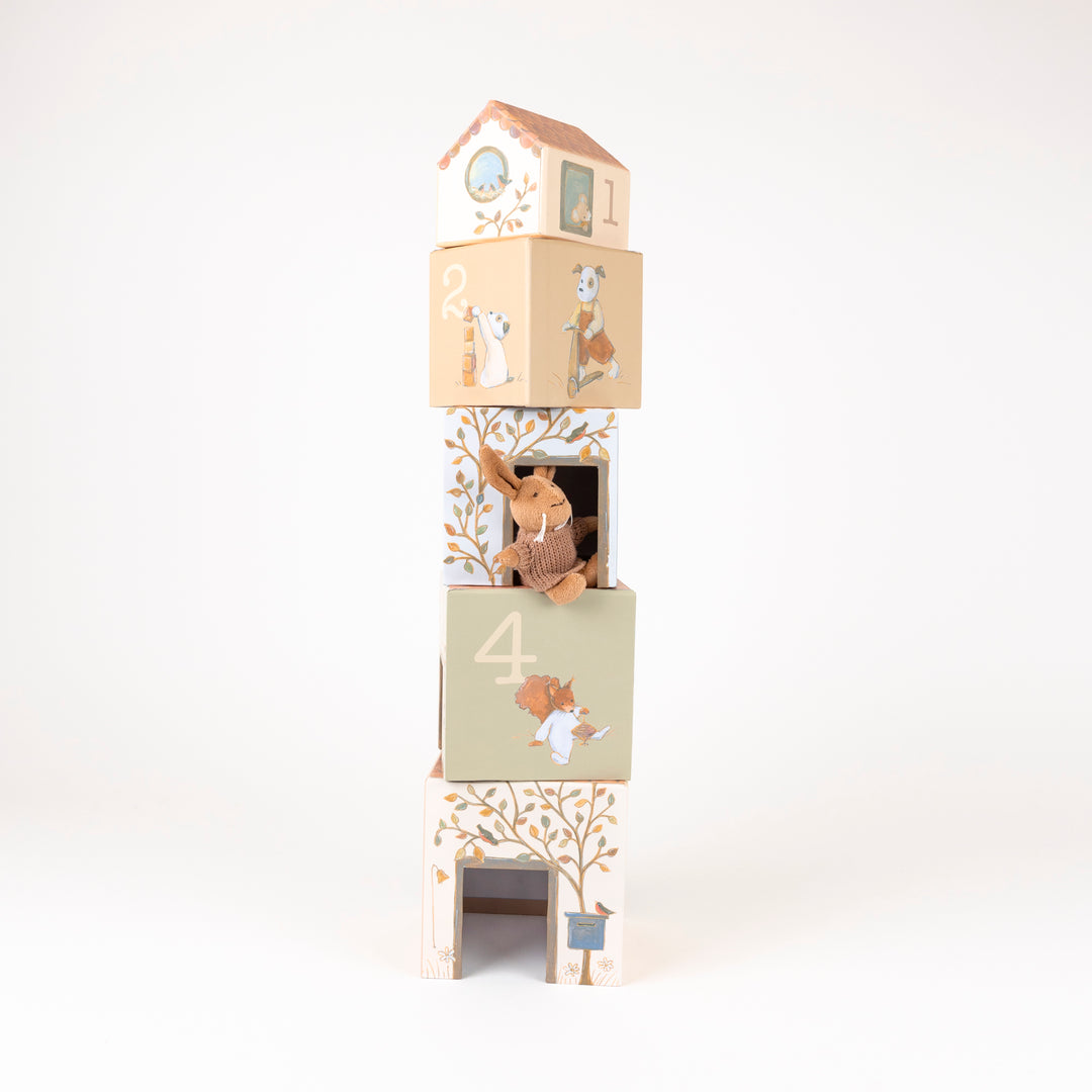 CUBE HOUSE - LENNY THE RABBIT