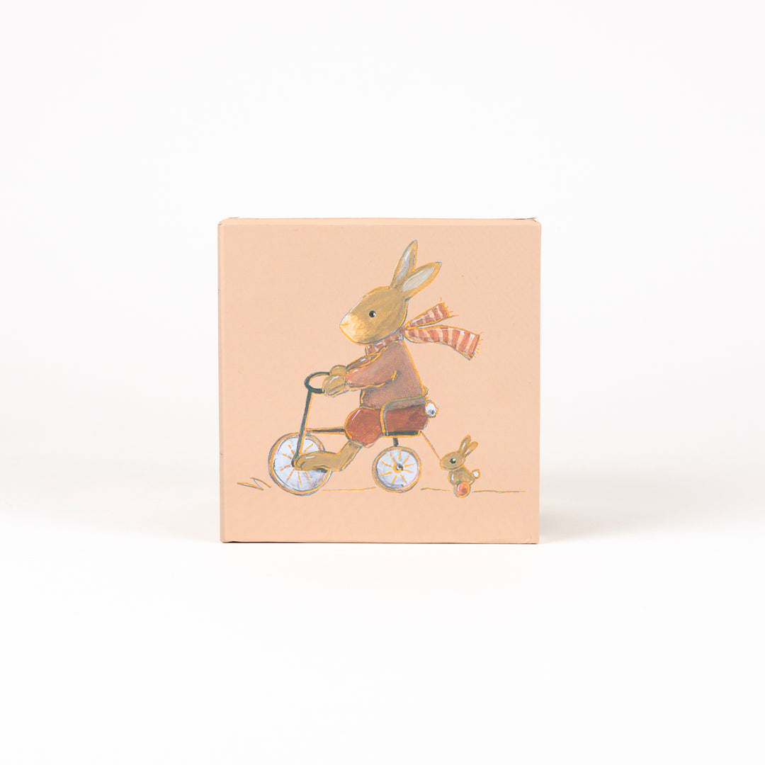 CUBE HOUSE - LENNY THE RABBIT