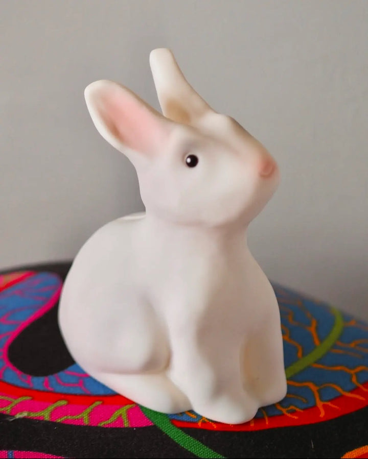SAVING BANK RABBIT