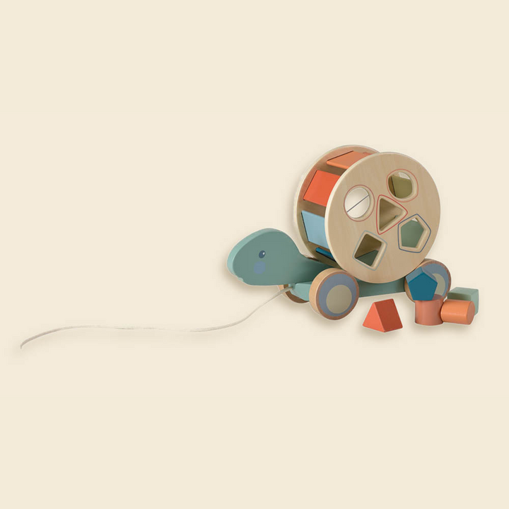 PULL-ALONG TURTLE