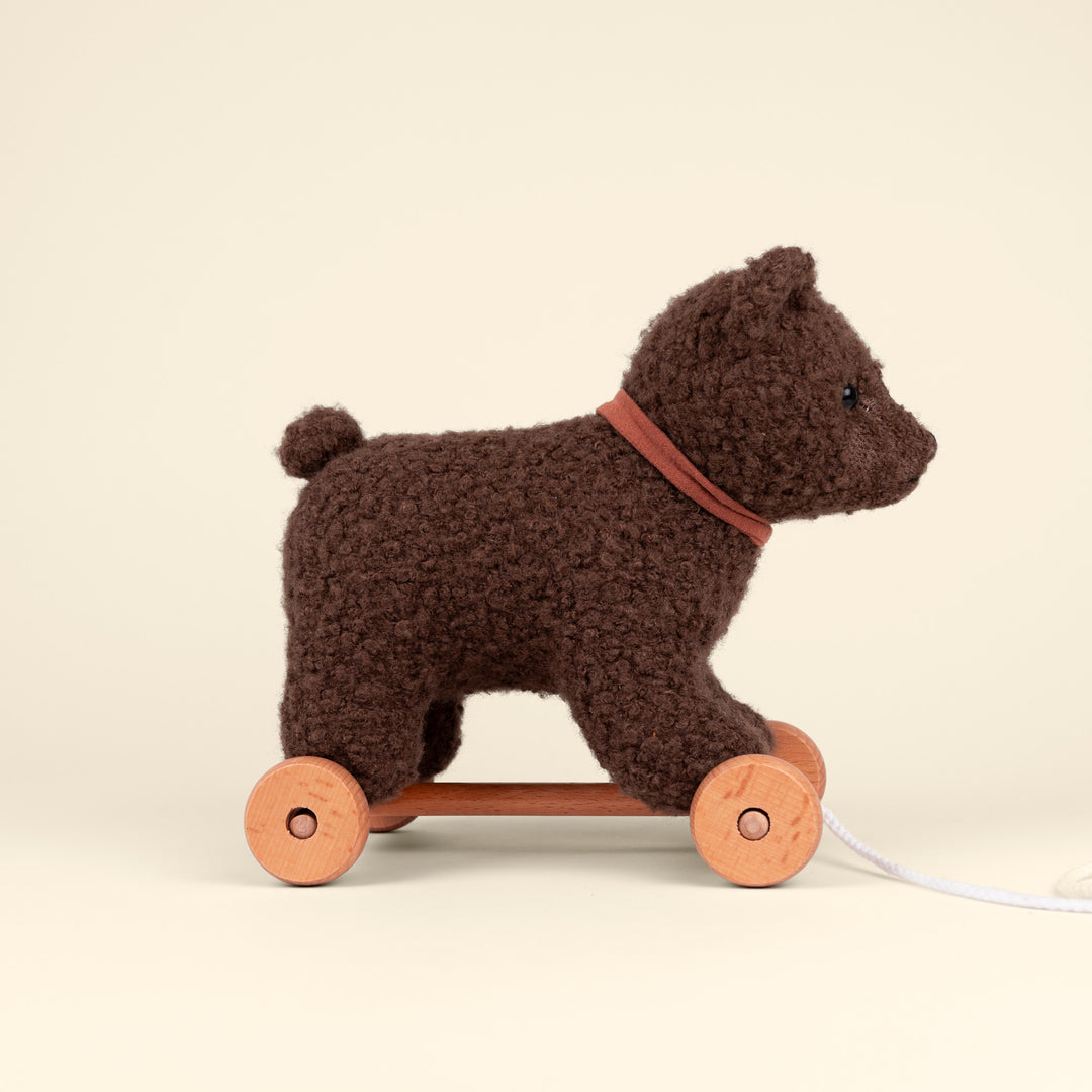 Raoul, l'Ours à Tirer