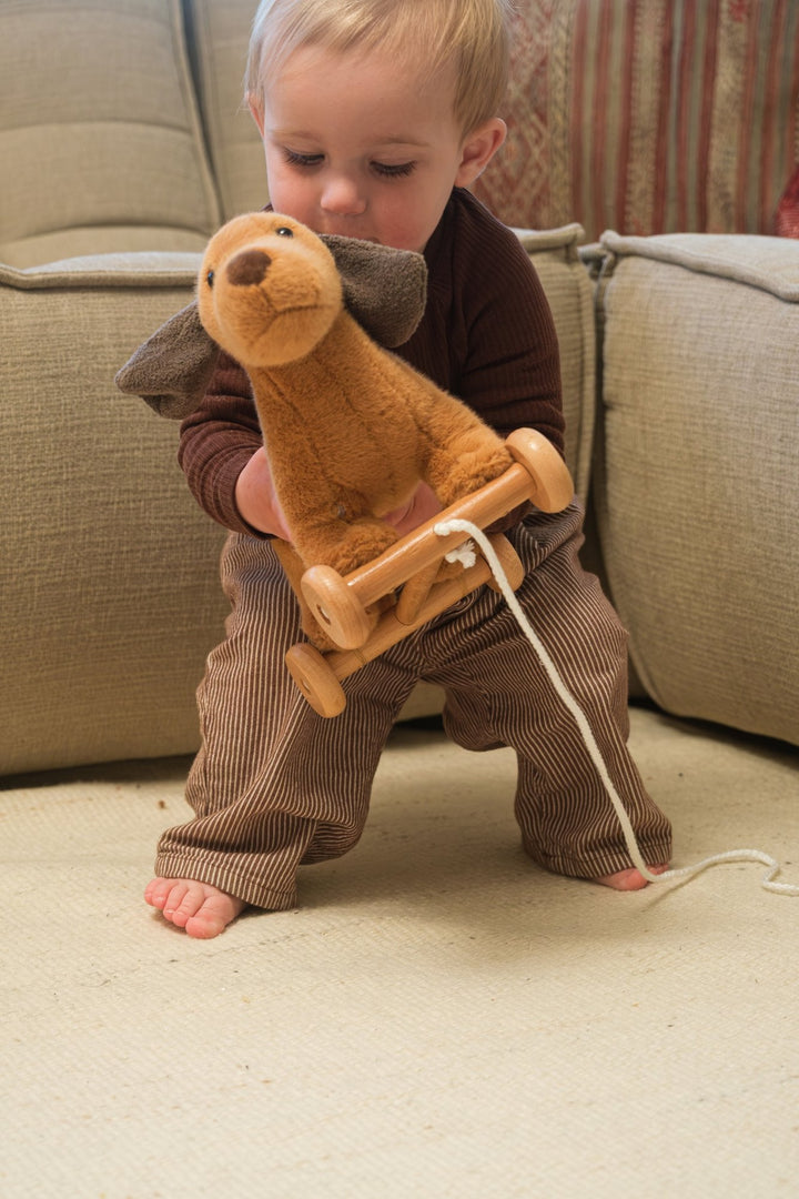Edward the Pull-Along