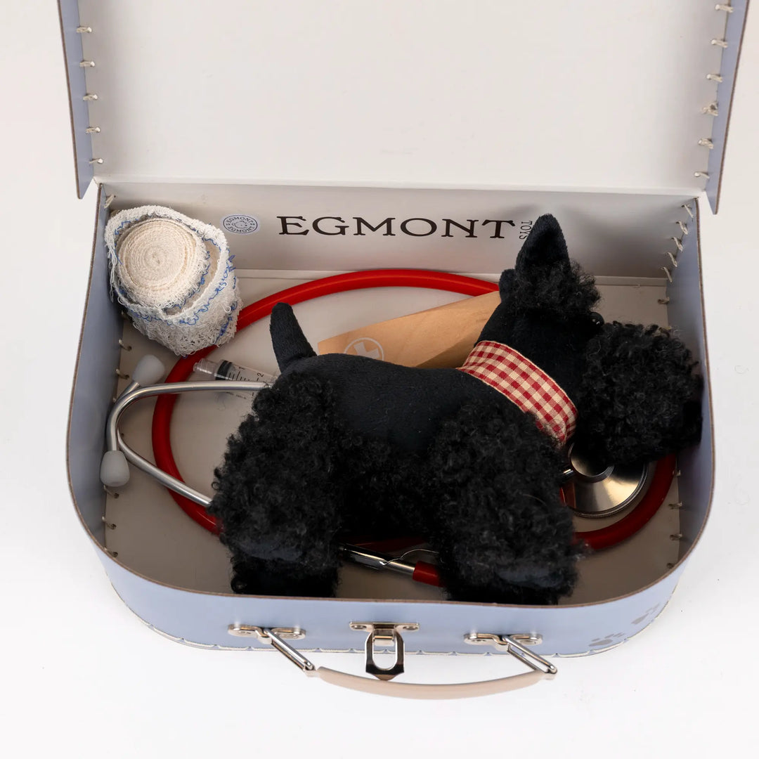 Veterinary Case - WALTER Dog  with collar