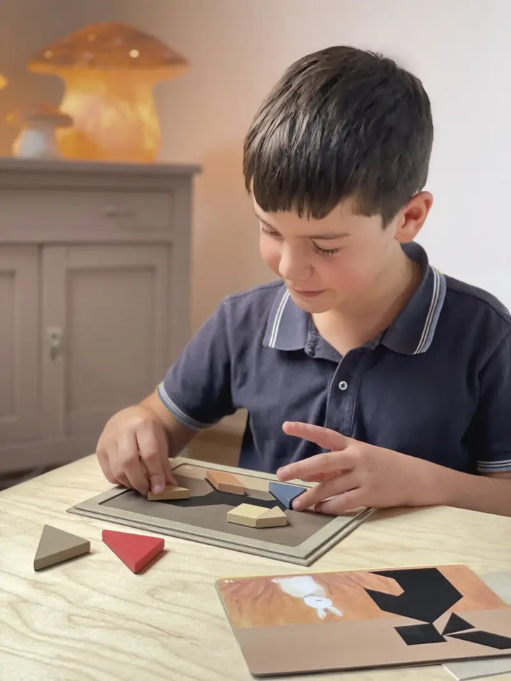 MAGNETIC TANGRAM