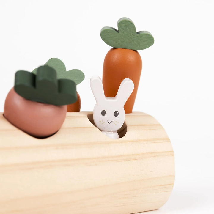 RABBIT AND VEGETABLES LOG