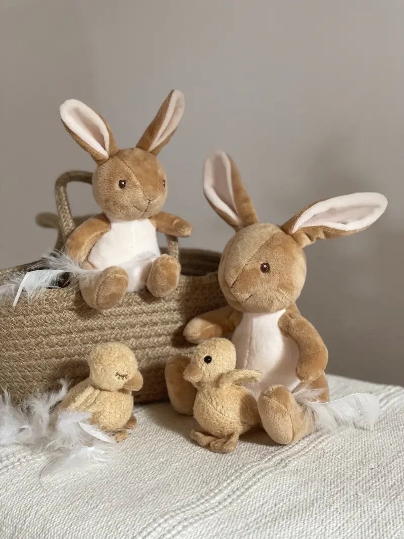 ROPE BASKET