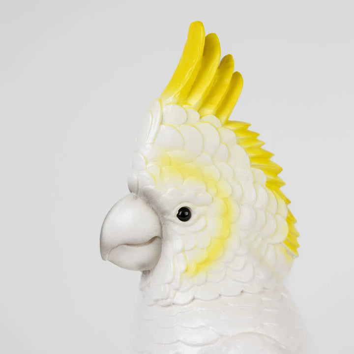 LAMP COCKATOO
