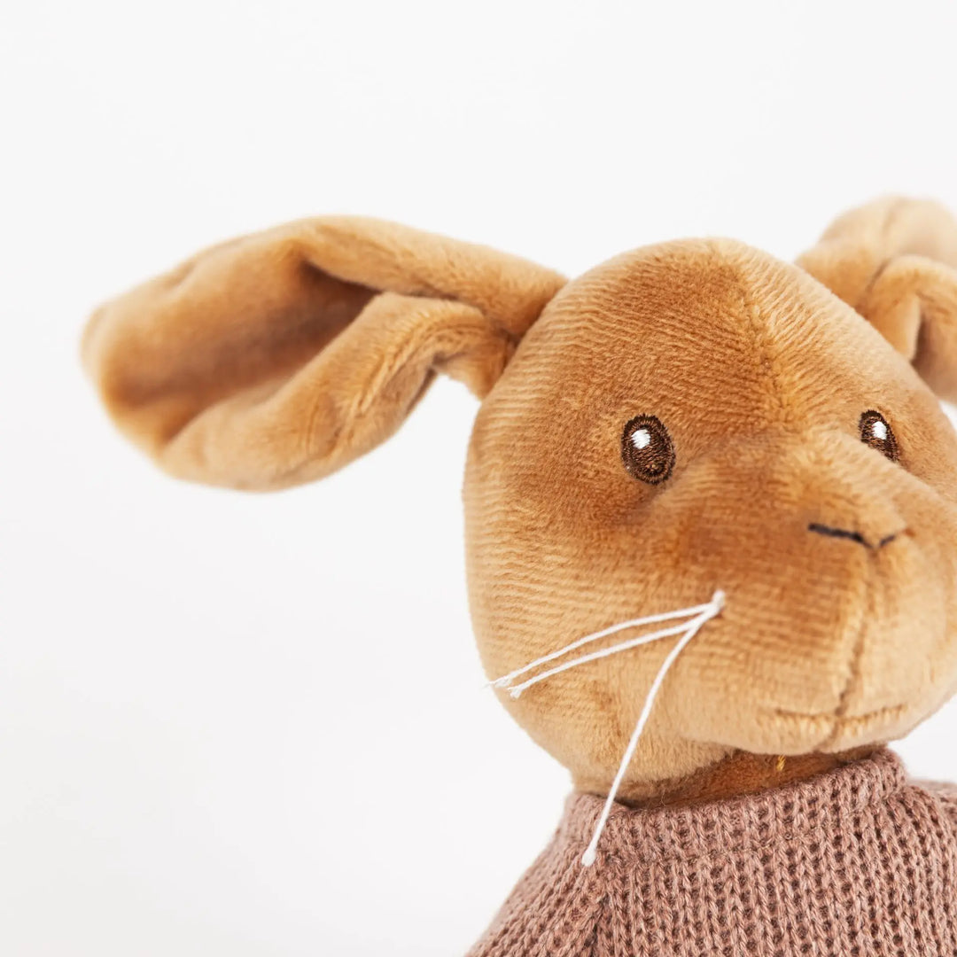 LENNY RABBIT MUSICAL