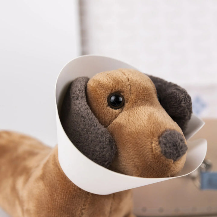 VETERINARY CASE 2