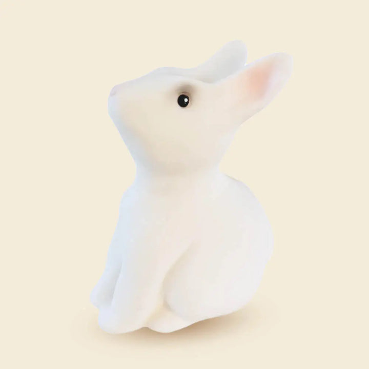 SAVING BANK RABBIT