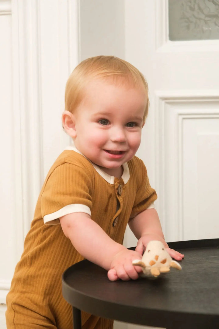Leonie the giraffe doudou and rattle gift set