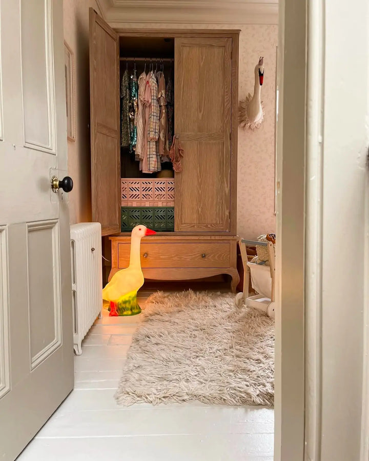 LAMP DUCK
