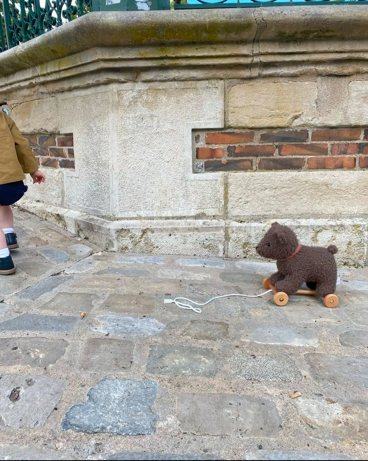 PULL-ALONG RAOUL