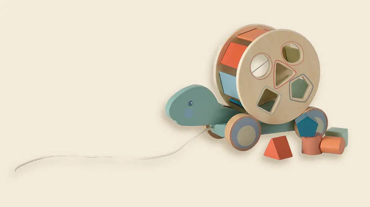 PULL-ALONG TURTLE