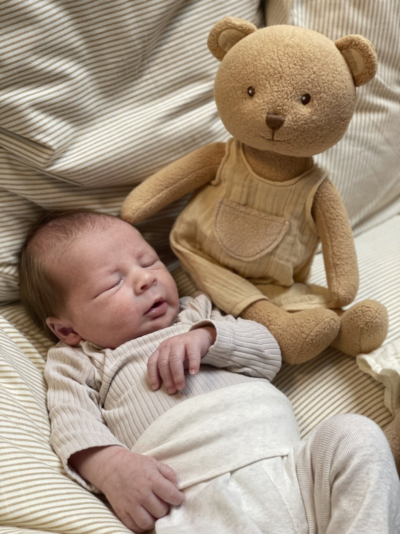 Marcel the bear large lifestyle