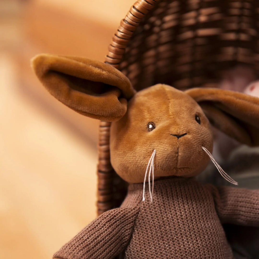 LENNY RABBIT
