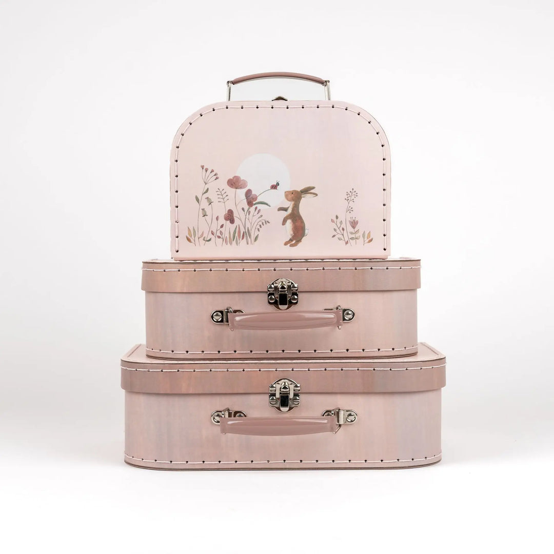 CASES SET OF 3 RABBIT