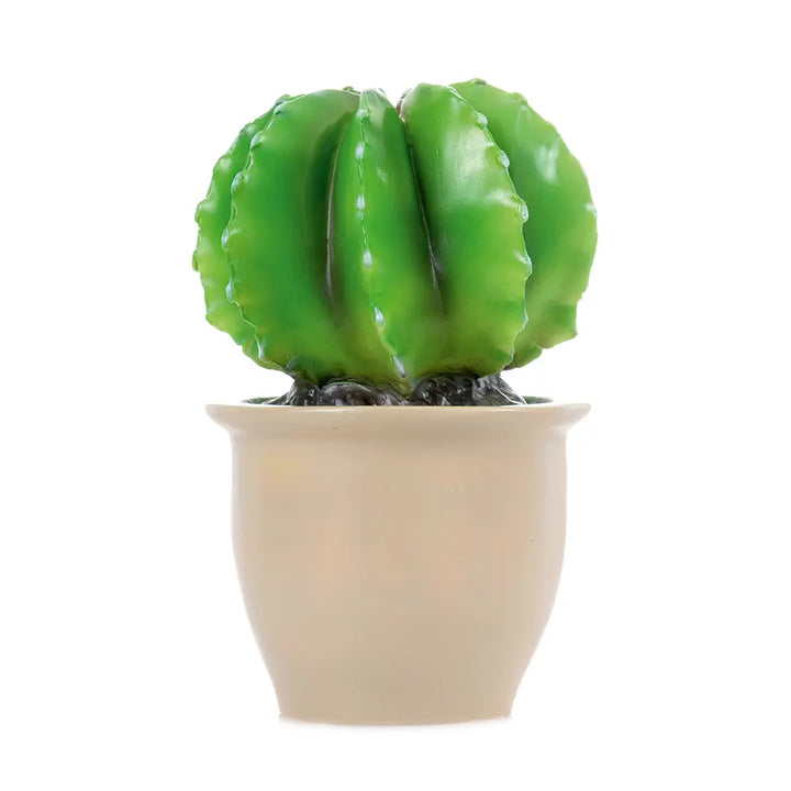 LAMP CACTUS IN FLOWER POT