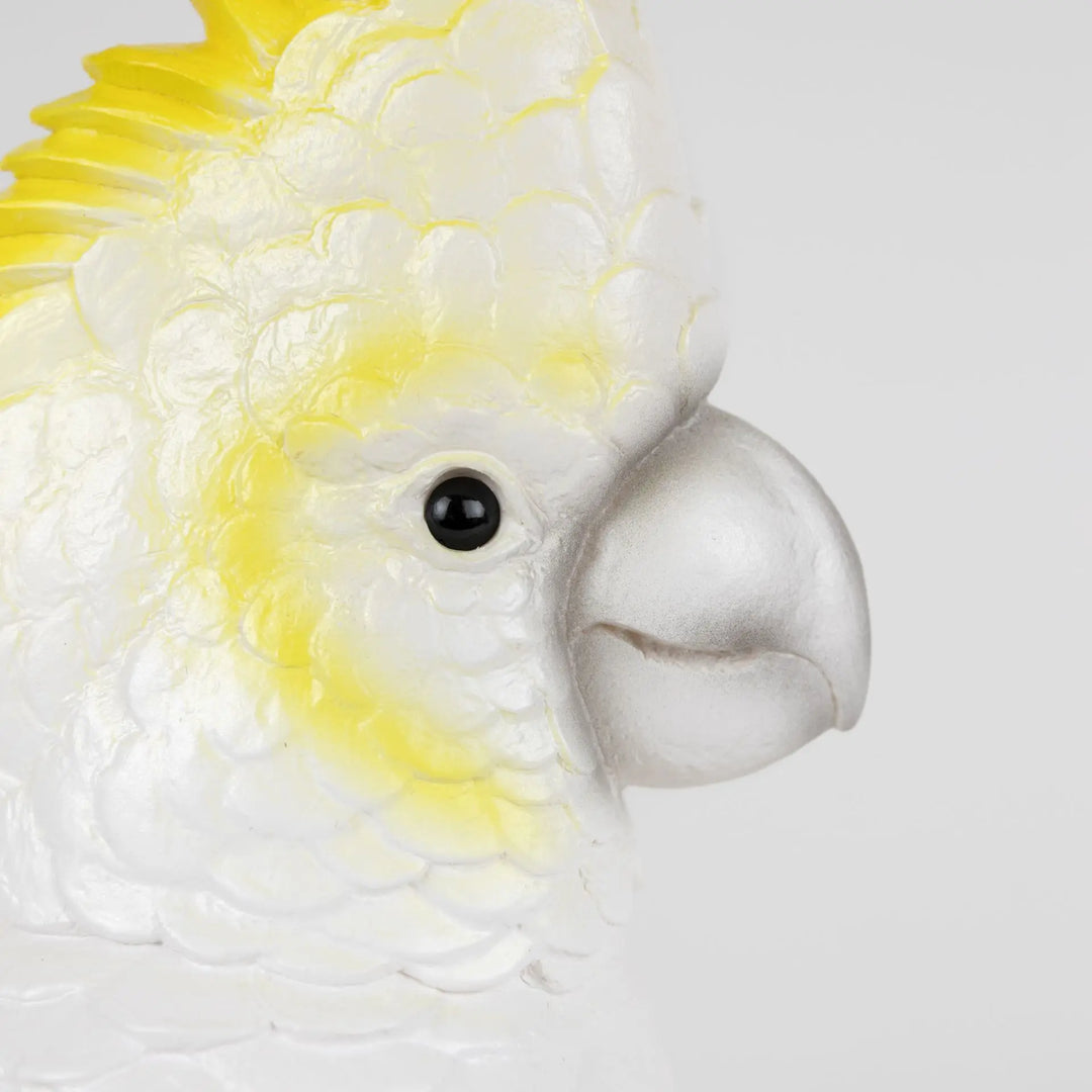 LAMP COCKATOO