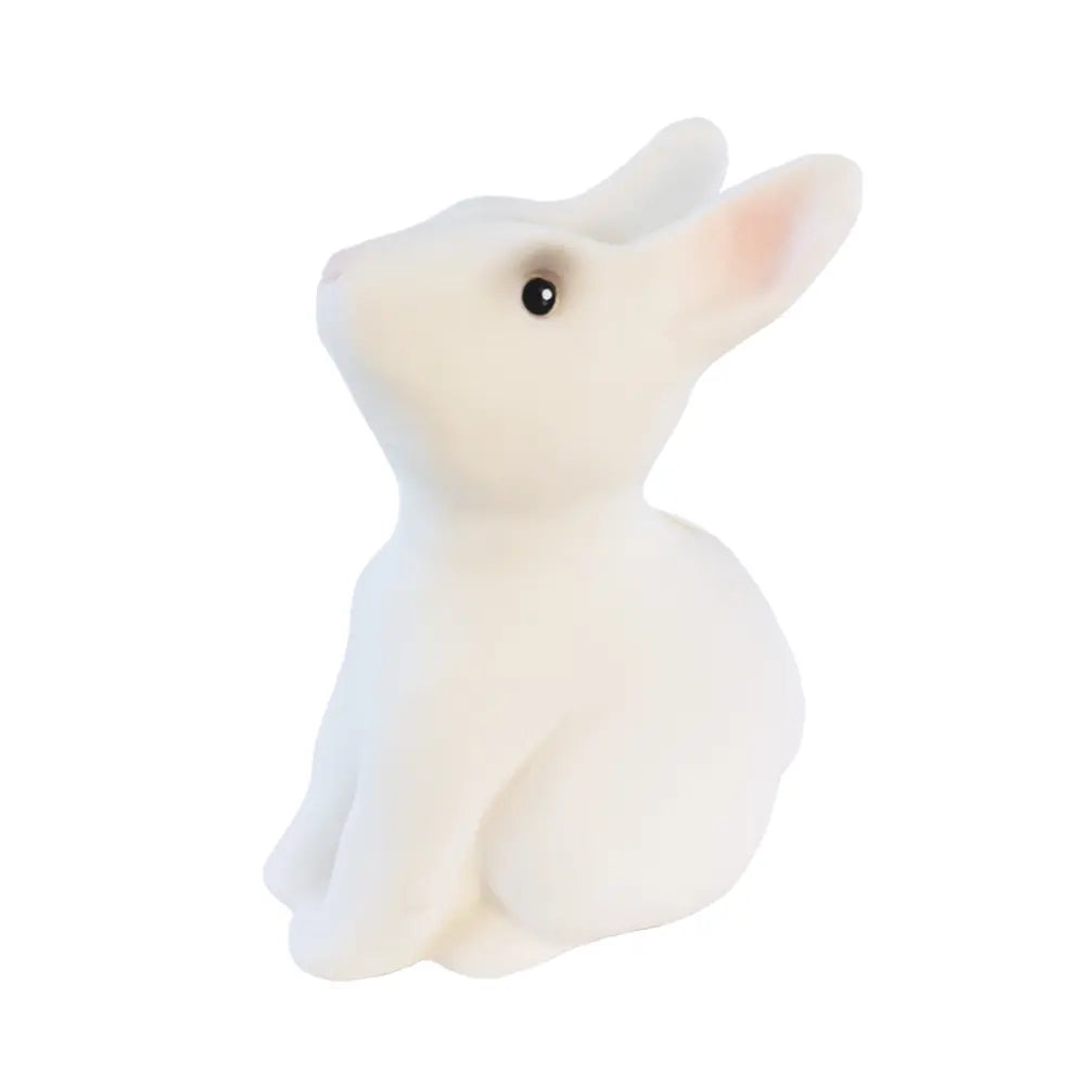 SAVING BANK RABBIT