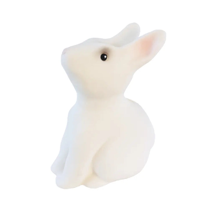 SAVING BANK RABBIT