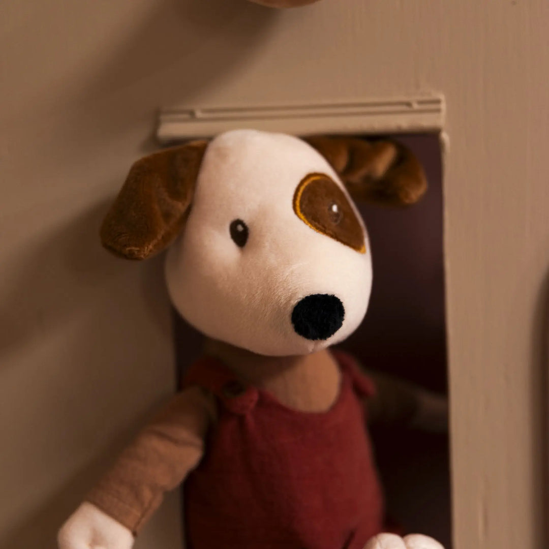 EDDIE DOG