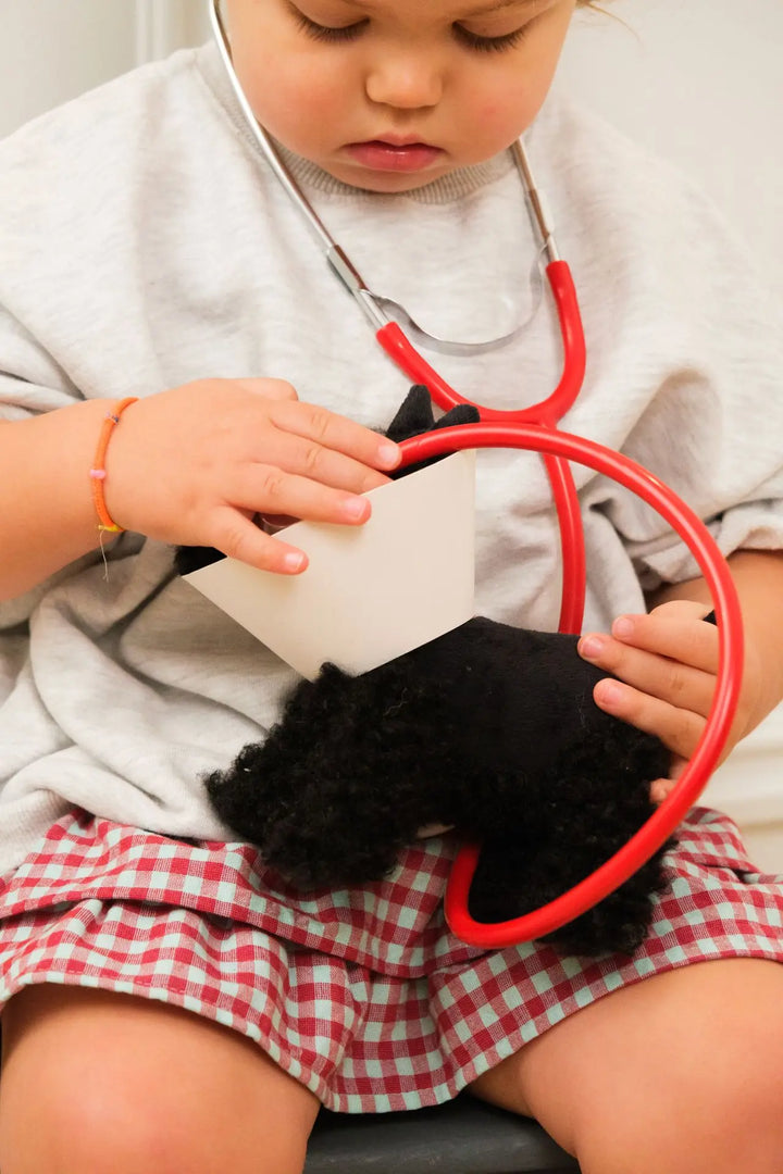 Veterinary Case - WALTER Dog  with collar
