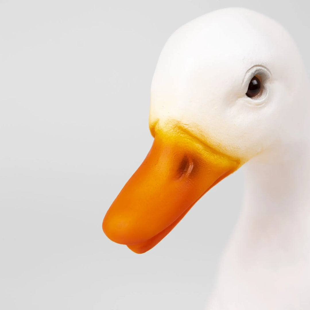 LAMP DUCK