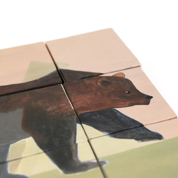 PUZZLE CUBES 9 PC FOREST