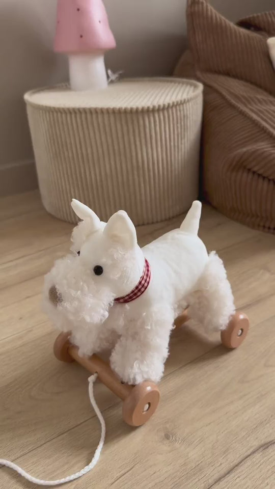Lola the pull-along dog at the end of her cord