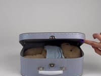 MORRIS WITH CLOTHES IN A CASE