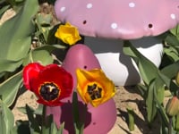 LAMP LARGE MUSHROOM LILA