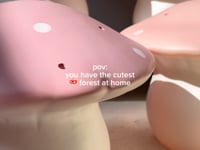 SAVING BANK MUSHROOM ALMO