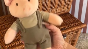 BART PIG