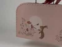 CASES SET OF 3 RABBIT
